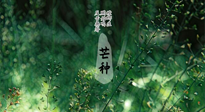 【二十四節(jié)氣灸】芒種節(jié)氣，培土補脾、養(yǎng)陰生津！艾灸這些穴位事半功倍！