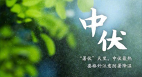 【三伏養(yǎng)生】至熱中伏，吃三樣，喝三樣，三大禁忌千萬別犯，小心落下病根！