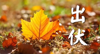 【三伏養(yǎng)生】出伏后做好養(yǎng)生很關(guān)鍵！一行要注意！