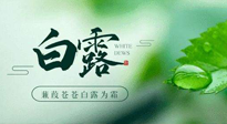 【二十四節(jié)氣灸】白露涼爽，養(yǎng)心肝脾胃、滋陰潤肺是關(guān)鍵！