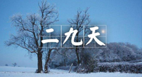 【三九養(yǎng)生】冬二九，扶陽補(bǔ)腎氣，讓你陽氣充足一整年！