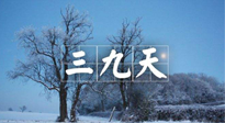 【三九養(yǎng)生】冬三九，三九第三灸，一年中最后艾灸黃金9天！