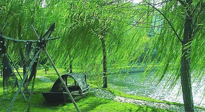 【養(yǎng)生知識(shí)】元宵入六九，春季已至，六九天的養(yǎng)生知識(shí)你知道多少？