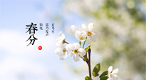 【二十四節(jié)氣灸】春分，平分了大地晝夜；艾灸，平衡了身體陰陽！