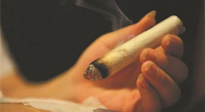 【艾灸知識】春暖花開，衣衫漸薄，再不減肥，身上的肉肉可藏不住了！