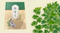 【行業(yè)資訊】國內(nèi)首部艾草專著《南陽艾》，在南陽新書首發(fā)！