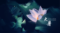 【二十四節(jié)氣灸】趁大暑好好艾灸，才不辜負(fù)三伏天的驕陽！