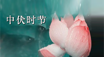 【艾灸三伏天】中伏：三伏灸的關(guān)鍵轉(zhuǎn)折點！“灸”除病根的大好時機！