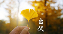 【艾灸三伏天】出伏啦！三防三宜兩穴位，防止身體“秋后算賬”！