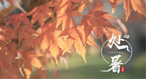 【二十四節(jié)氣灸】處暑，冬病夏治倒計時！秋涼真的要來了！