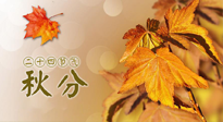 【二十四節(jié)氣灸】秋分節(jié)氣，平衡陰陽，巧用艾灸，潤燥養(yǎng)肺是關(guān)鍵！