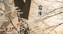 【二十四節(jié)氣灸】霜降節(jié)氣：艾灸四穴，護您冬天安然無恙！