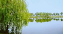 【艾灸知識(shí)】春三月，必艾灸穴位：疏肝理氣，養(yǎng)血調(diào)神！