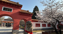 【行業(yè)資訊】新華財(cái)經(jīng)：守正創(chuàng)新，中醫(yī)藥品牌化發(fā)展“更上一層樓”！